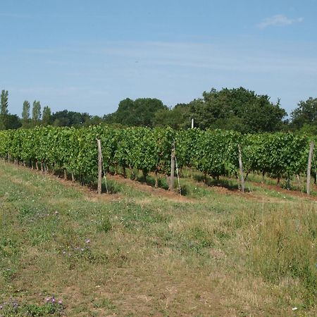 Le Logis Du Livier Hotel Saint-Georges-sur-Layon Eksteriør billede